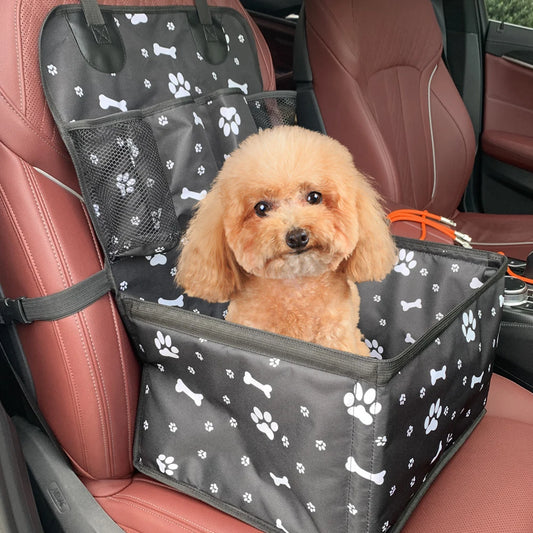 PetSafe Ride™